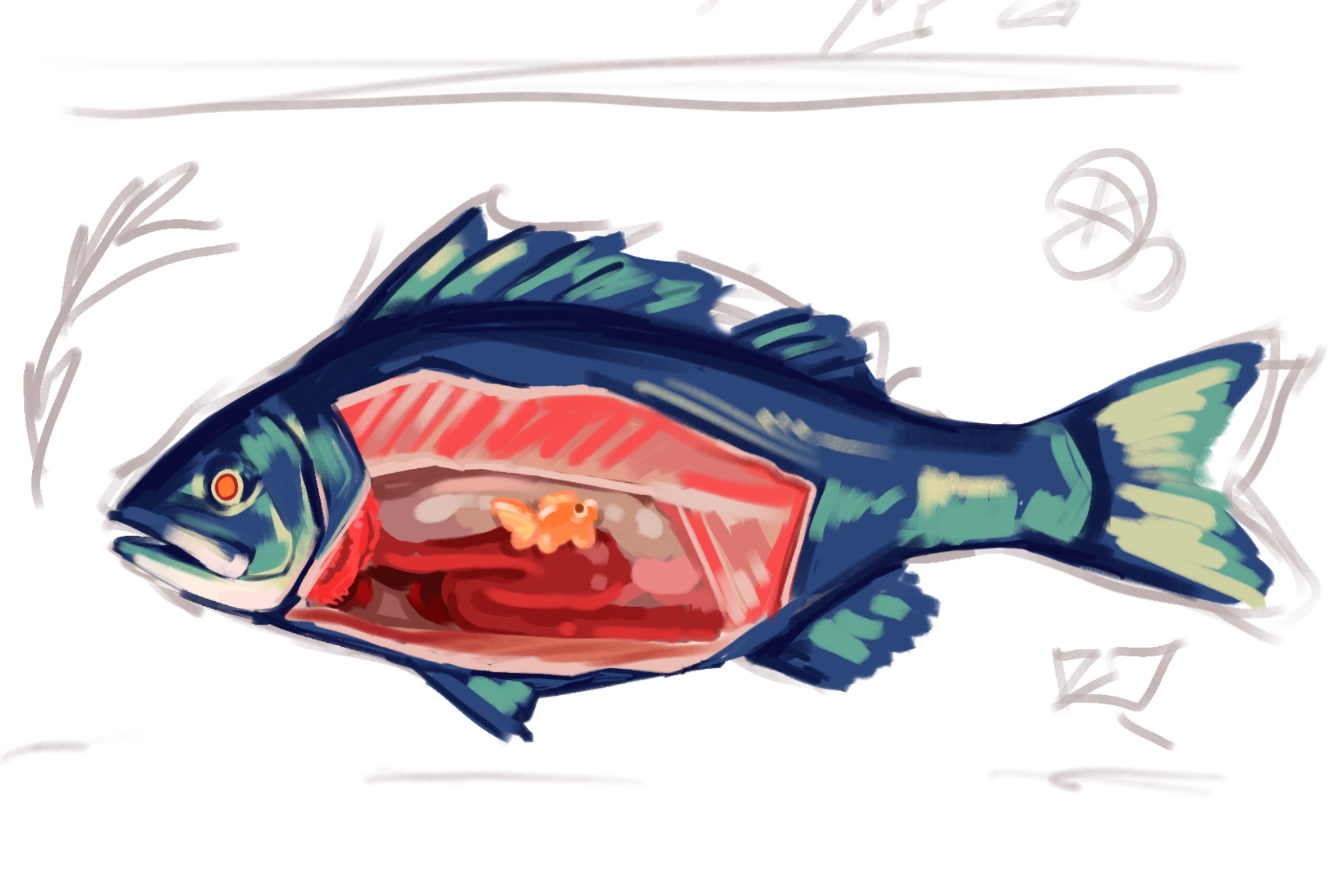 dissected fish
